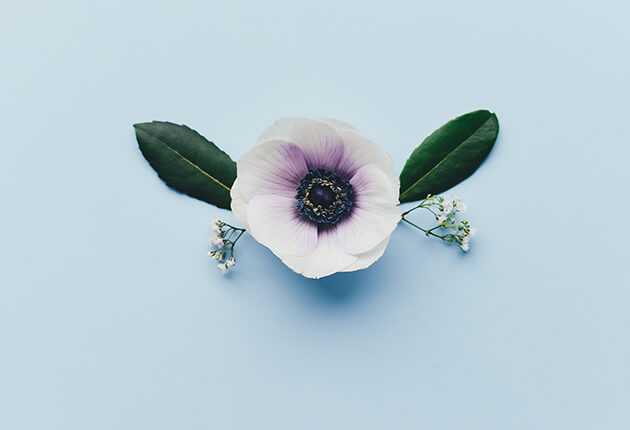 portfolio thumb